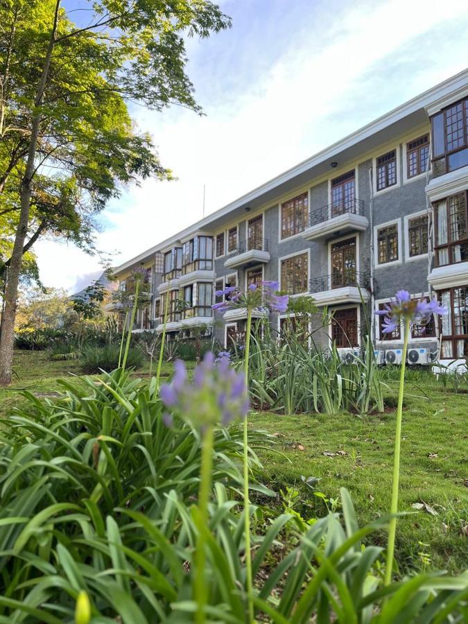 Aroso Paco Hotel Pedra Azul  Dış mekan fotoğraf The Faculty of Law
