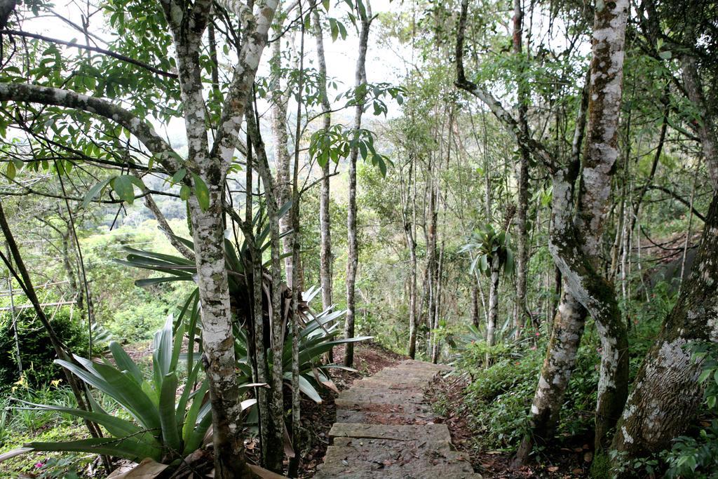 Aroso Paco Hotel Pedra Azul  Dış mekan fotoğraf A trail in the park